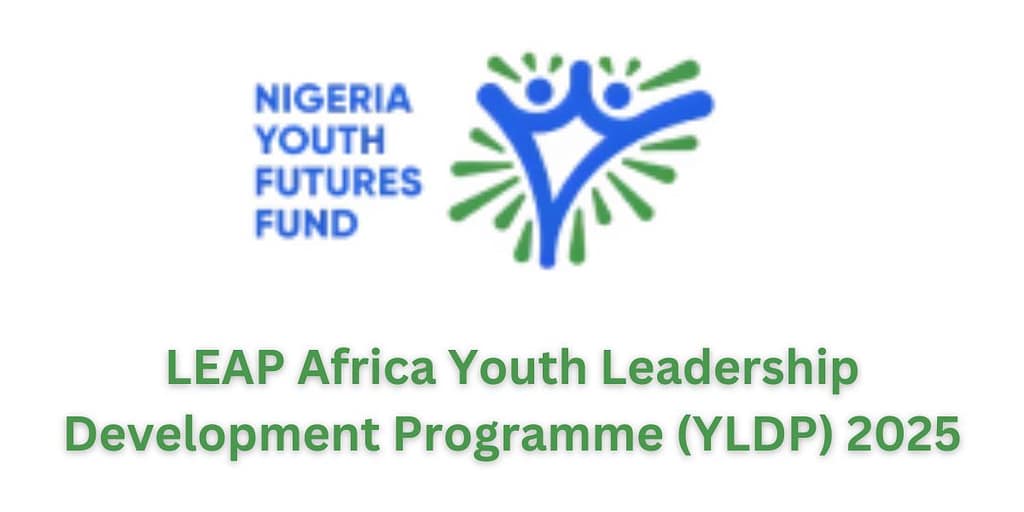 LEAP Africa Youth Leadership Development Programme (YLDP) 2025