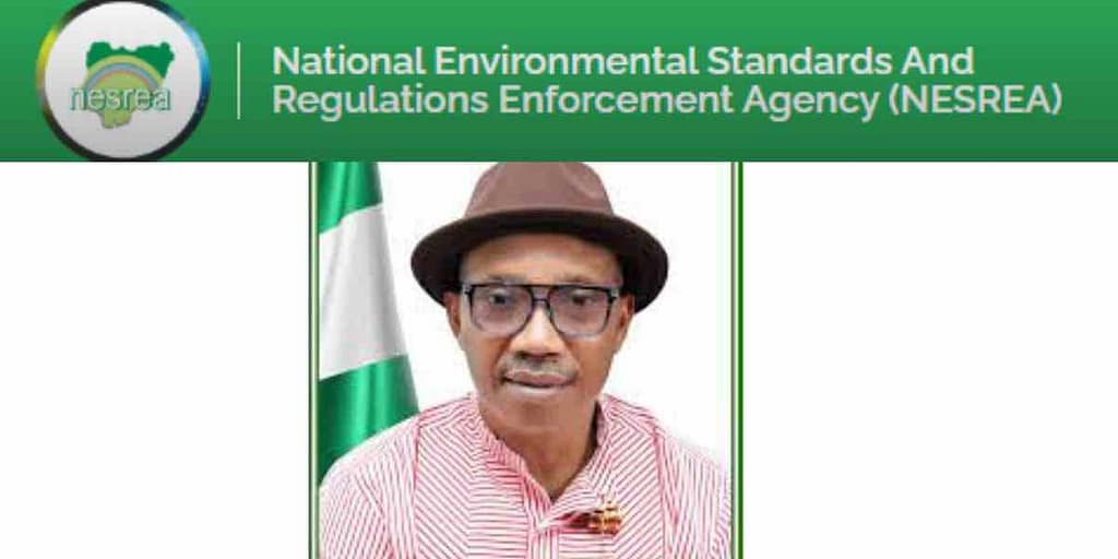 National Environmental Standards and Regulations Enforcement Agency (NESREA) Salary Structure