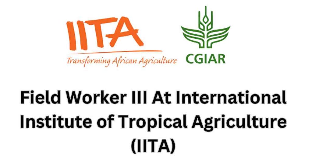 Field Worker III At International Institute of Tropical Agriculture (IITA)